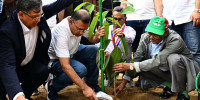 PM rolls out nationwide programme to plant 250 million trees