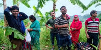 BGB foils BSF bids to push-in 20 thru' Chuadanga and Kurigram borders
