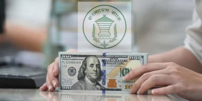 Remittance inflows hit $35.07 billion in FY26 till June 24