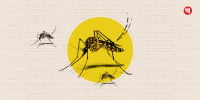 Dengue claims 5 more lives in 24hrs