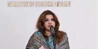 Efforts on to bring Hasina back; people want her extradition: Shama Obaed