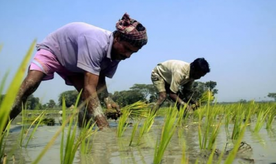 Bangladesh to import 75,000 tonnes of MoP fertiliser from Canada, Russia