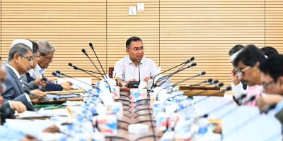 Cabinet committee formed to amend Visa Policy
